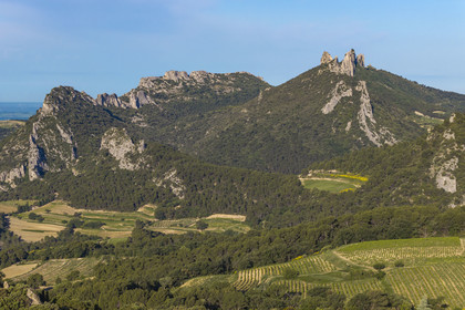 France, Vaucluse, Dentelles de Montmirail mountains, the vineyard around the village of Suzette, the Clapis extended by the Grand Montmirail on the left and the Dentelles Sarrasines on the right (aerial view)