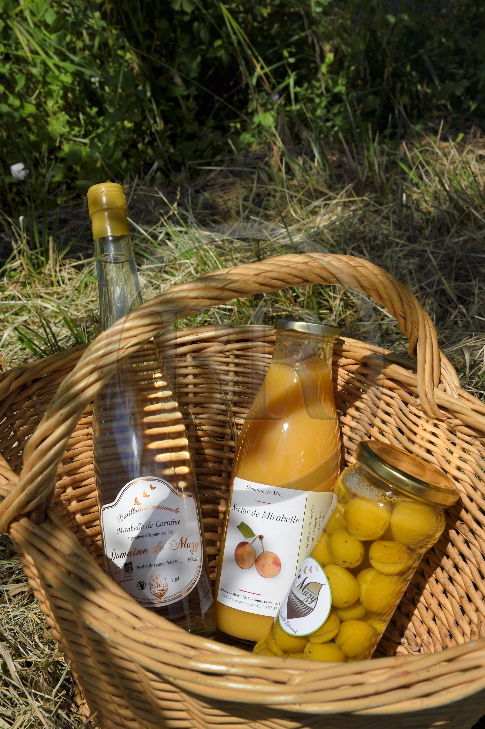 France, Meuse (55), Parc régional de Lorraine, Cotes de Meuse, Combres-sous-les-cotes, Domaine de Muzy, produits de la mirabelle