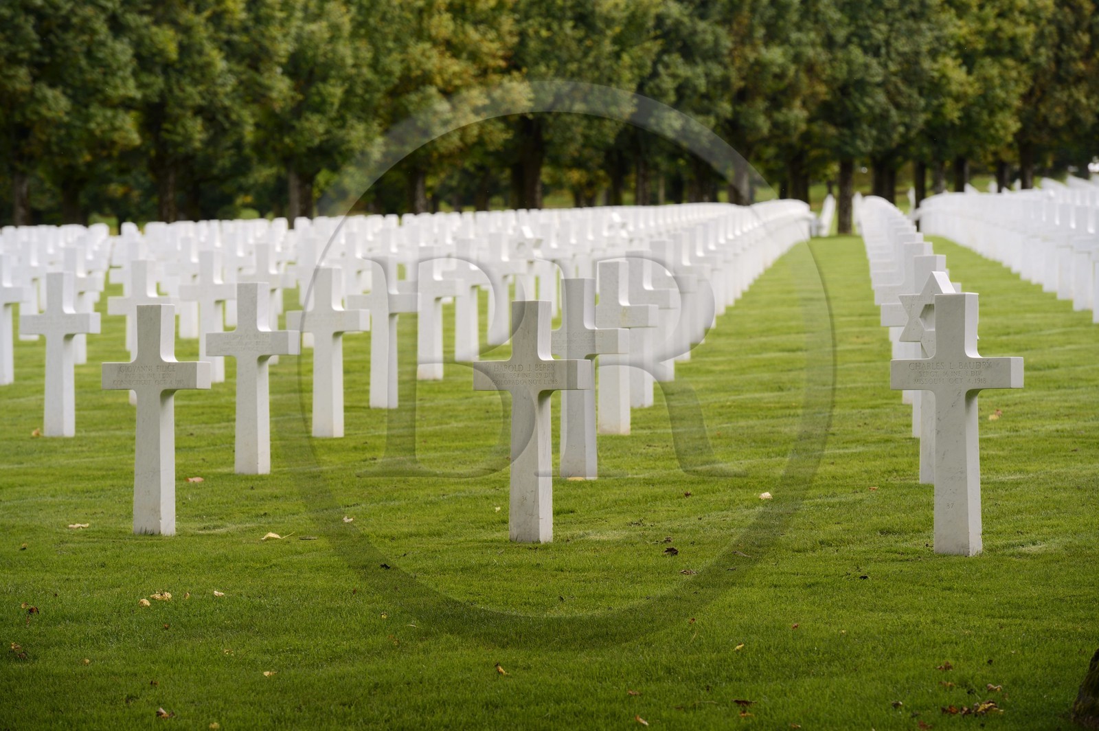 France, Meuse (55), le cimetière américain de Romagne-sous-Montfaucon, 14 246 américains ayant combattu lors de la Première Guerre mondiale y sont enterrés