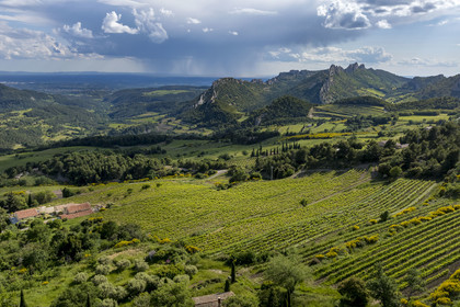 France, Vaucluse, Dentelles de Montmirail mountains, the vineyard around the village of Suzette, the Clapis extended by the Grand Montmirail on the left, the Dentelles Sarrasines in the center and the Grand Travers on the far right (aerial view)