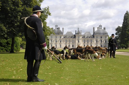 France, Loir-et-Cher (41), château de Cheverny, les piqueux Vol au Vent et La Rosée qui gèrent la meute de 90 chiens de chasse à cour