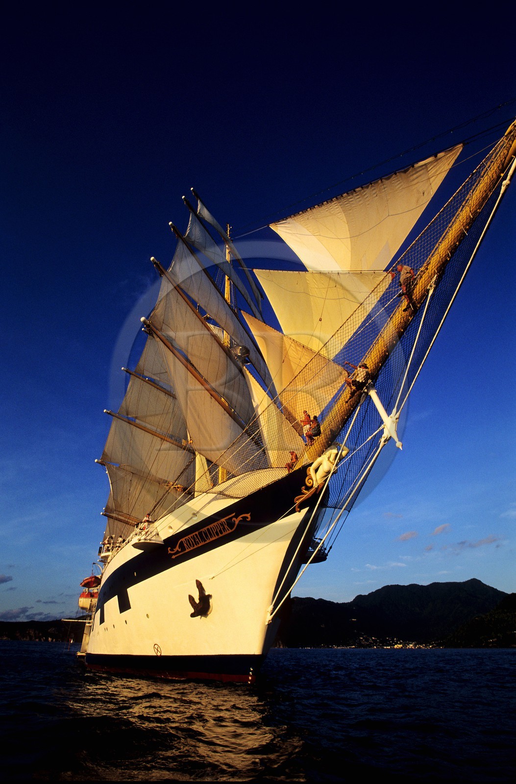 Caribbean sea, the five masted ship SPV Royal Clipper with every sail set