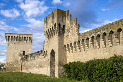 France, Vaucluse, Avignon, the ramparts on the banks of the Rhone river