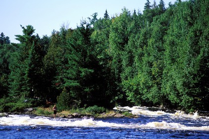 Canada, Quebec Province, La Verendrye Wildlife Reserve, the Ottawa River, fisherman on an island in the rapids