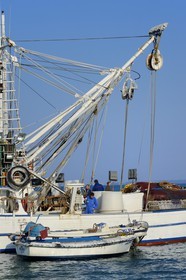 Croatia, Dalmatia, Dalmatian Coast, Ugljan Island, Preko, return from tuna fishing