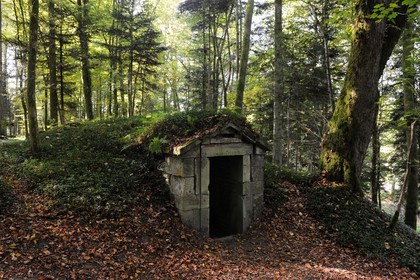 France, Vosges (88), Manufacture Royale de Bains-les-Bains, la glacière dans le parc