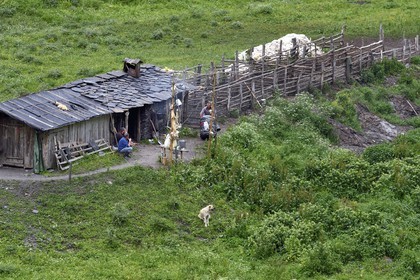 Georgia, Kakheti, Tusheti National Park, Alazani River Valley in the mountains of Pirikiti, shepherds' camp
