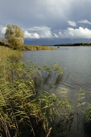 France, Meuse (55), Parc régional de Lorraine, Cotes de Meuse, Heudicourt-sous-les-Côtes, pêcheurs sur le lac de la Madine