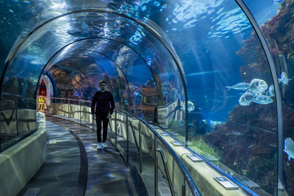 Spain, Catalonia, Barcelona, Port Vell, the aquarium, the underwater tunnel