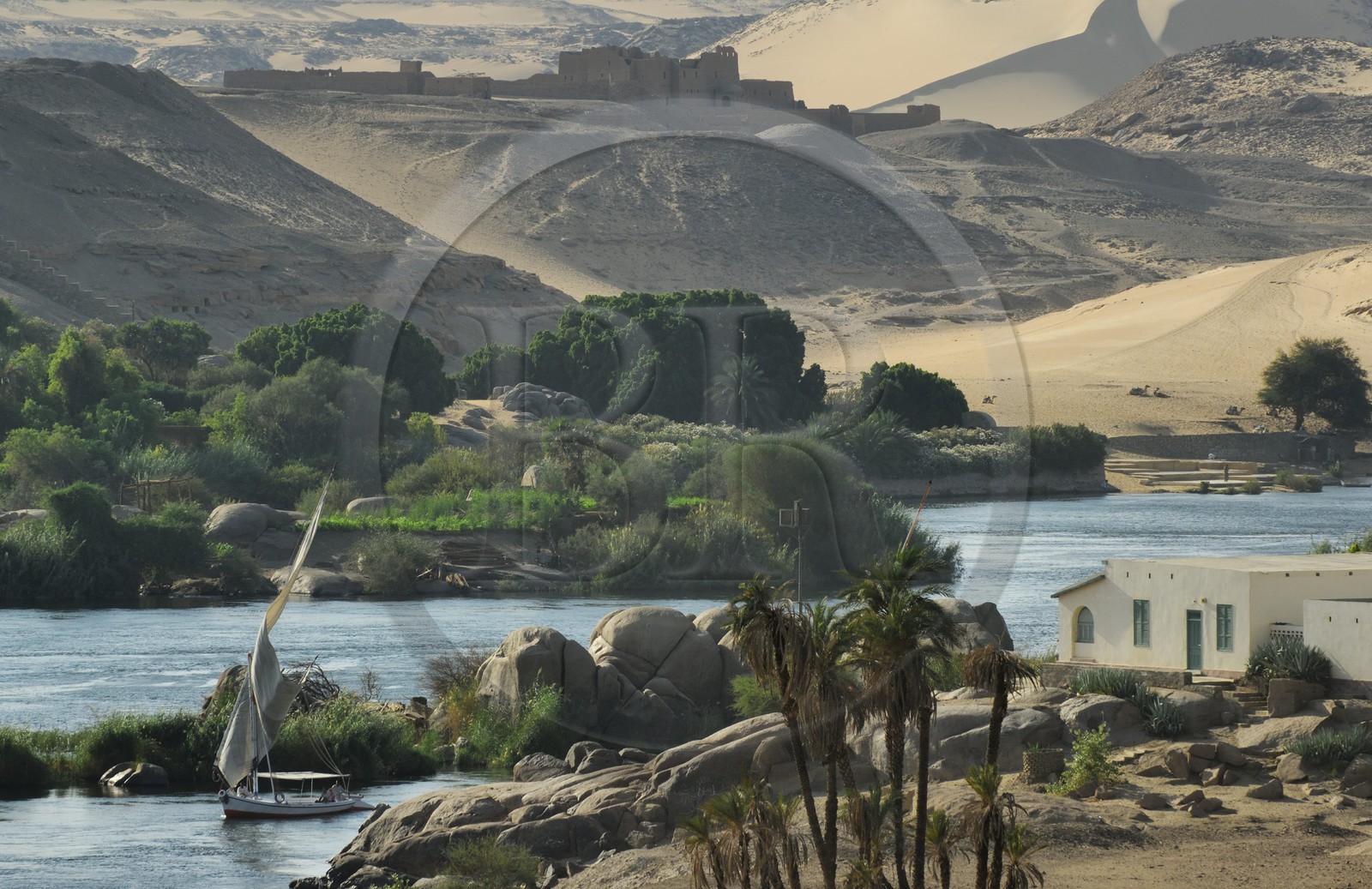 Egypte, Haute Egypte, vallée du Nil, Assouan, felouque sur le Nil et le monastére Saint-Siméon sur la rive ouest