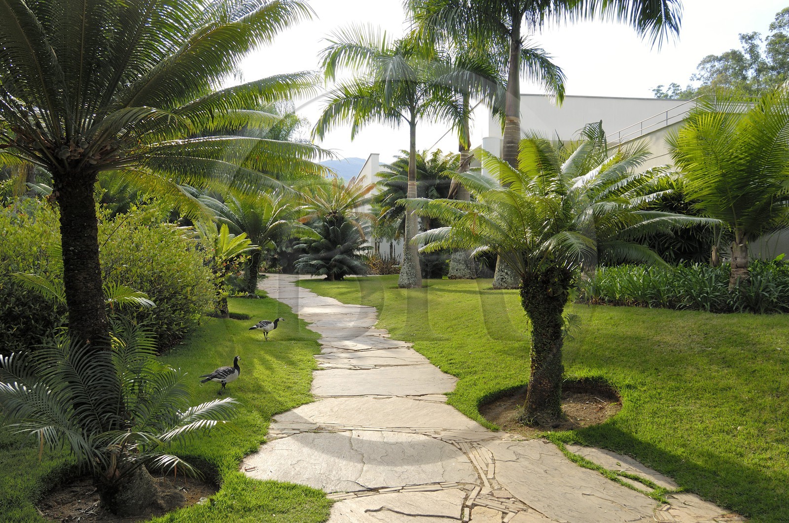 Brésil, Etat du Minas Gerais, région de Belo Horizonte, Brumadinho, centre d'art contemporain Inhotim