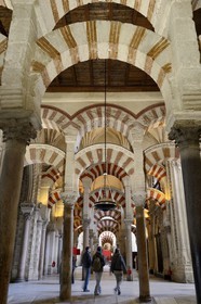 Espagne, Andalousie, Cordoue, centre historique classé Patrimoine Mondial de l'UNESCO, la Mezquita, mosquée-cathédrale, la forêt d'arcs et de colonnades illustre la monumentalité de l'Art omeyyade de Cordoue