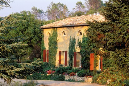 France, Var, Provence Verte (Green Provence), Bras village next to Saint Maximin, Le Peyrourier Bed & Breakfast, countryside of Provence