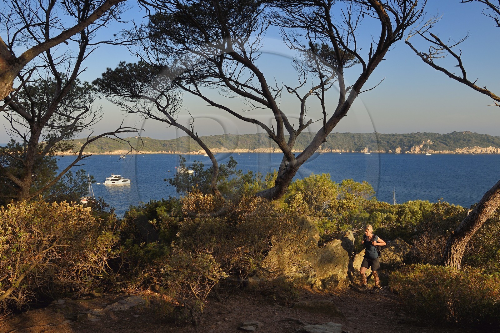 France, Var (83), Iles d'Hyères, parc national de Port Cros, Ile de Port-Cros, randonneuse sur un sentier cotier et l'Ile de Bagaud qui est une réserve intégrale en arrière plan