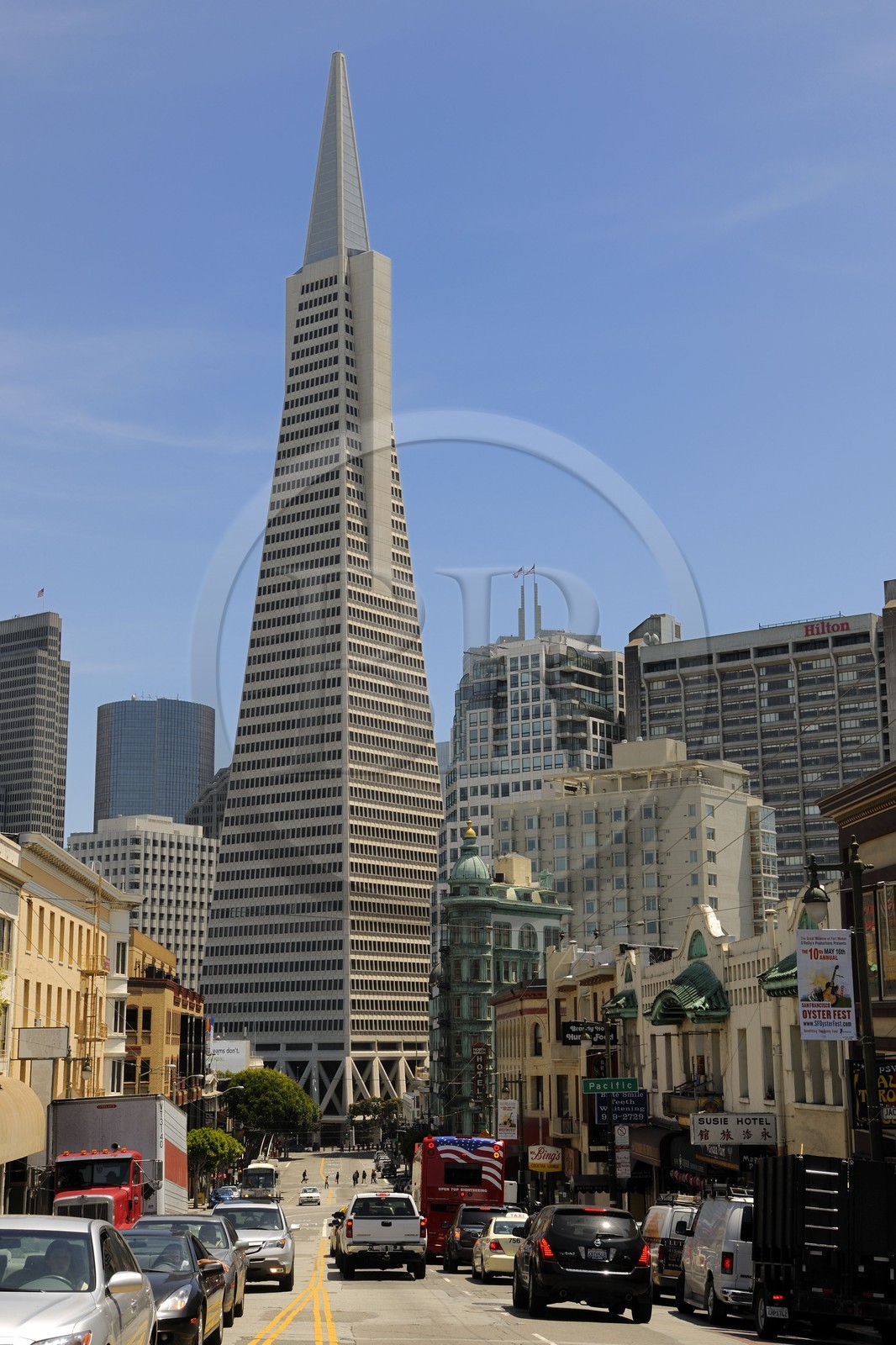 United States, California, San Francisco, Financial District, Transamerica Pyramid Building by the architect William Leonard Pereira