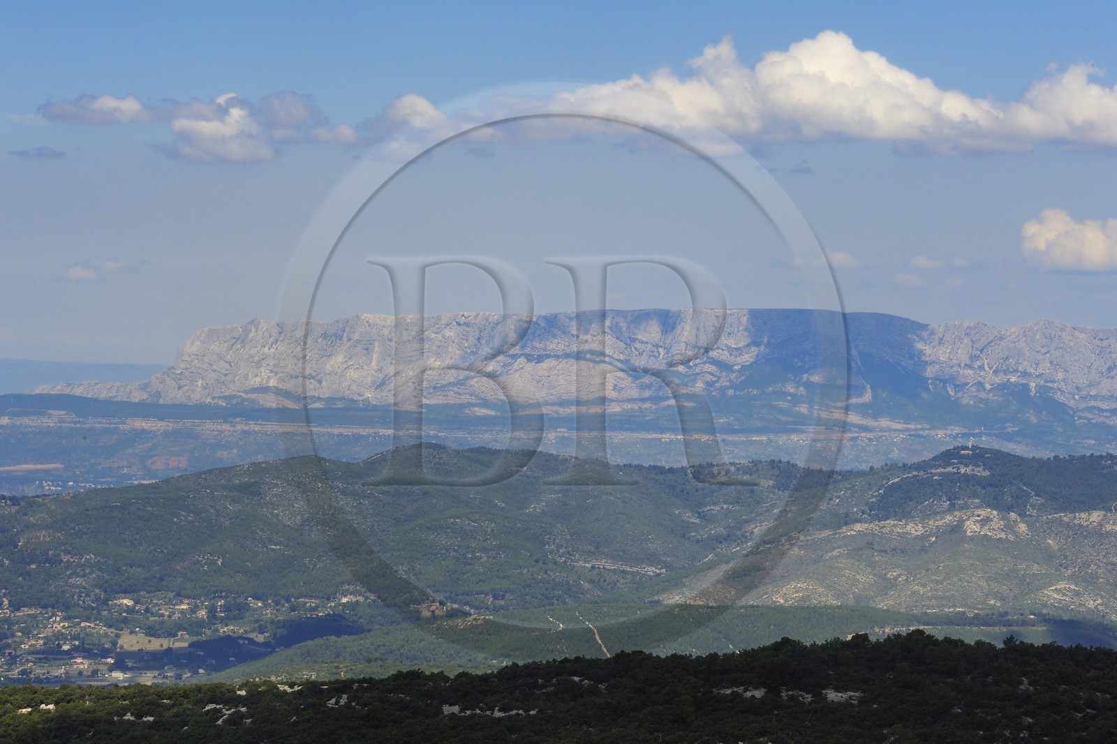 France, Var, the Sainte Victoire mountain in the background