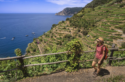 Italie, Ligurie, Cinque Terre, parc national des Cinque Terre classé Patrimoine Mondial de l'UNESCO, randonneuse descendant au village de Vernazza, en contrebas randonneurs sur le sentier du littoral GR 592 passant dans le vignoble en terrasse entre Monterosso et Vernazza