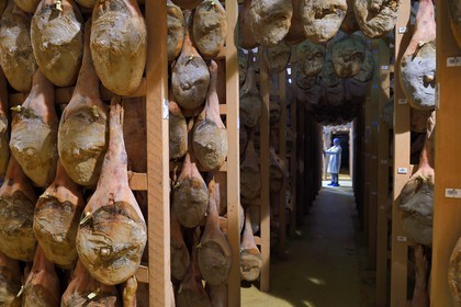 France, Pyrénées-Atlantiques (64), Pays-Basque, vallée des Aldudes, le Séchoir Collectif des Aldudes assure une prestation de séchage et l'affinage de jambons, zone de l'affinage