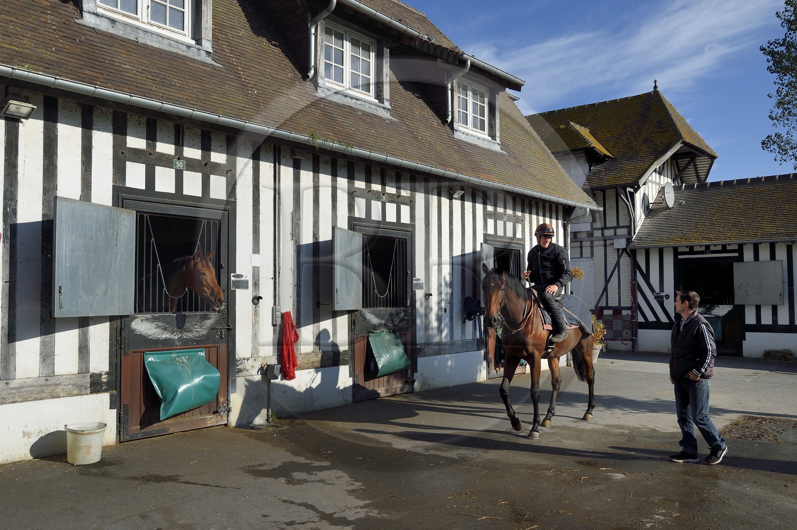 France, Calvados, Pays d'Auge, Deauville, Racecourse of Deauville-La Touques, the stables