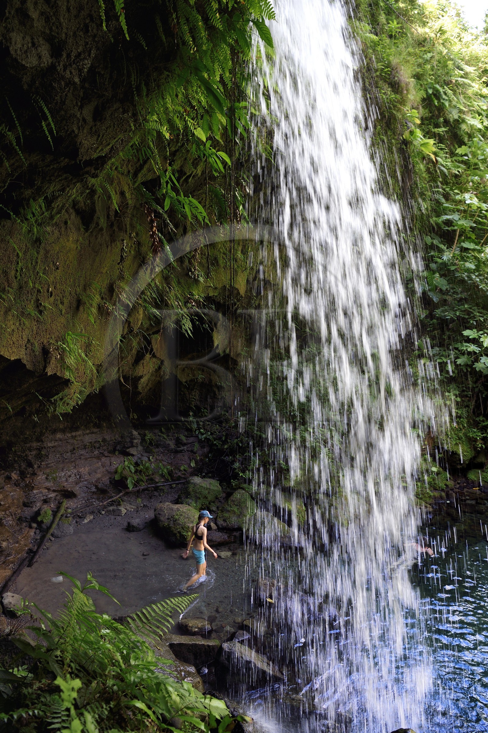 Caribbean, Dominica Island, Castle Bruce, Morne Trois Pitons National Park listed as World heritage by UNESCO, in the tropical undergrowth, Emerald Pool and its waterfall
