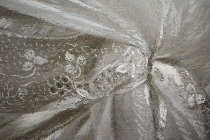 France, Yvelines, Chateau de Versailles, the castle restoration workshop, drawing and engraving workshop, detail of the portrait of Mrs Campan (reader of Queen Marie Antoinette) by J.Boze