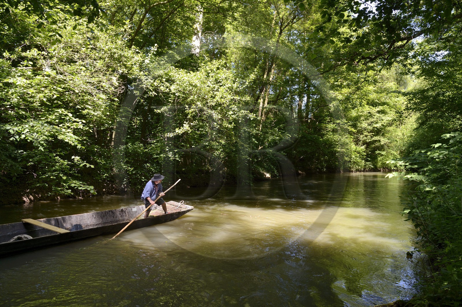 France, Bas Rhin, Ebersmunster and Muttersholtz region, the Ried, the boatman Patrick Unterstock in a small flat wooden bottom boat on the Ill river