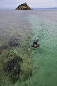 France, Var (83), Iles d'Hyères, Parc national de Port Cros, Ile de Port-Cros, plage de la Palud, le rocher du Rascas, sentier sous marin de la Palud