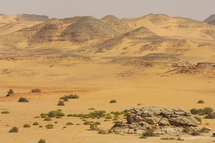 Egypte, Haute Egypte, Nubie, désert au bord du Lac Nasser