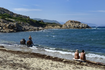 France, Haute-Corse (2B), Nebbio, désert des Agriates, Anse de Peraiola, cavalière sur la plage d'Ostriconi