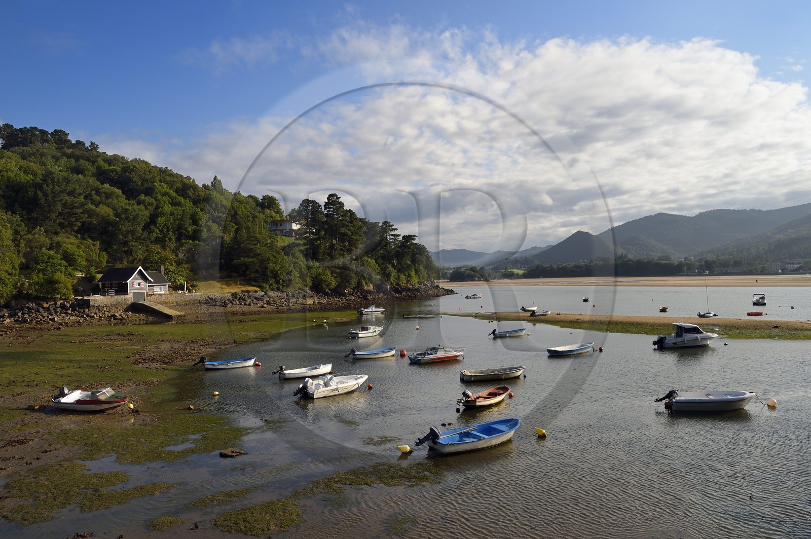 Espagne, Pays basque espagnol, Biscaye, région de Gernika-Lumo, Réserve de biosphère d'Urdaibai, estuaire du fleuve Oka à marée basse au sud de Mundaka, petit mouillage de Laida