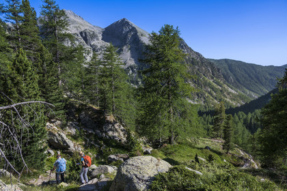 France, Alpes-Maritimes (06), parc national du Mercantour, Haute-Vésubie, Saint-Martin-Vésubie, Val du Haut Boréon, randonneurs descendant la vallée depuis le refuge de Cougourde