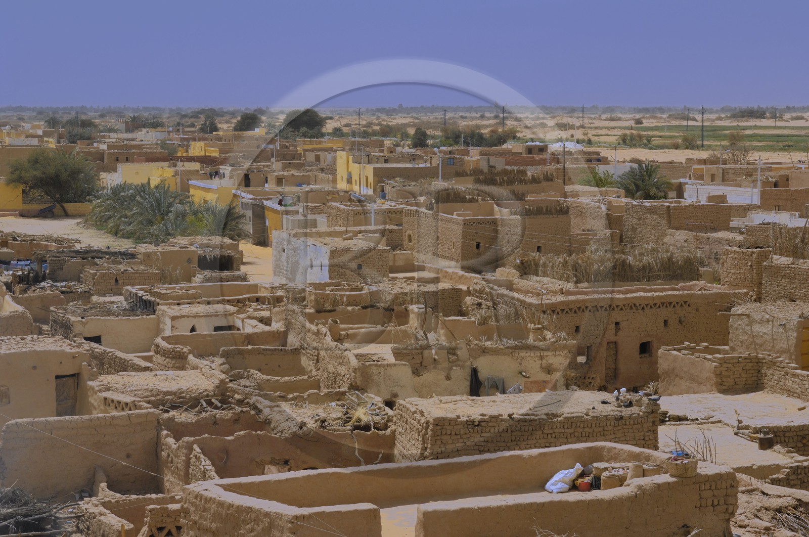 Egypte, désert libyque, oasis de Dakhla, le village de Eshbet Bashendi (Bashandi)