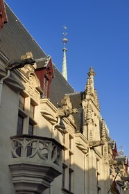France, Meurthe-et-Moselle (54), Nancy, les gargouilles du Palais Ducal (Palais des Ducs de Lorraine) qui abrite le Musée historique lorrain