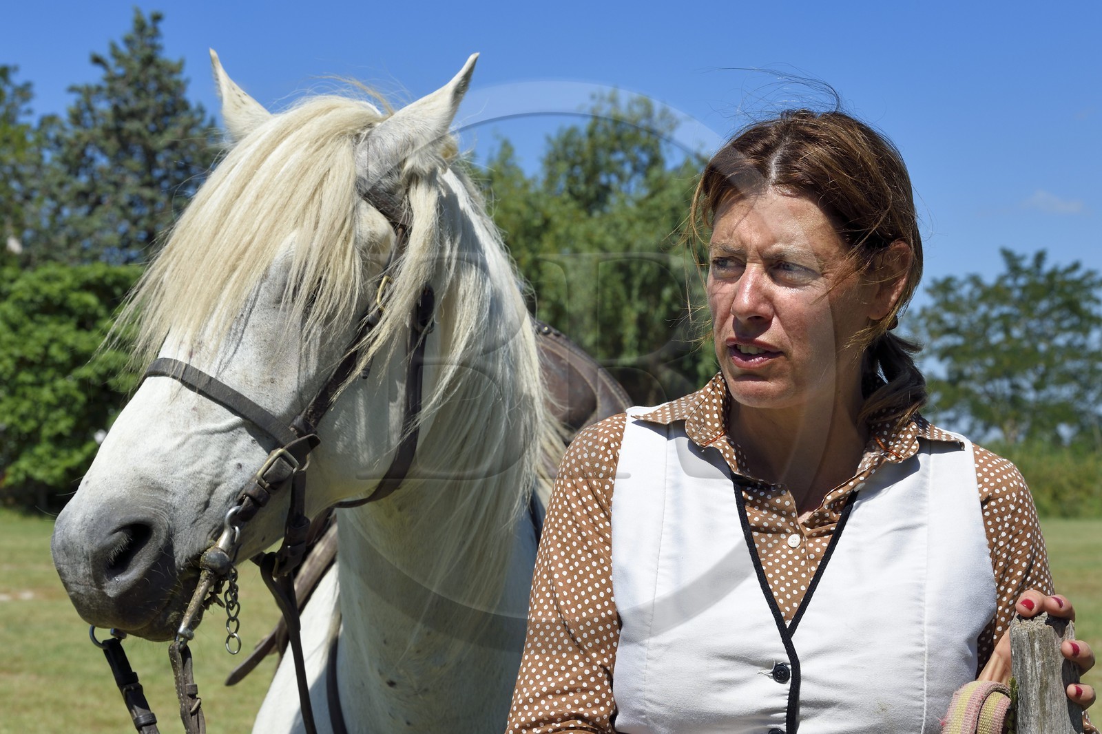 France, Bouches du Rhone, Parc naturel regional de Camargue (Regional Natural Park of Camargue), La Regie de Frigoules, Florence Clauzel owner of the Mas des Grandes Manades du Vaccares, manade Saint Antoine, breeder of Camargue horses and bulls