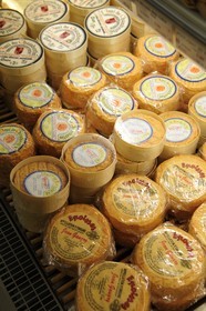 France, Côte d'Or (21), Brochon, entreprise de fromage Gaugry