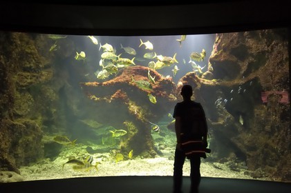 France, Charente-Maritime (17), La Rochelle, l'Aquarium