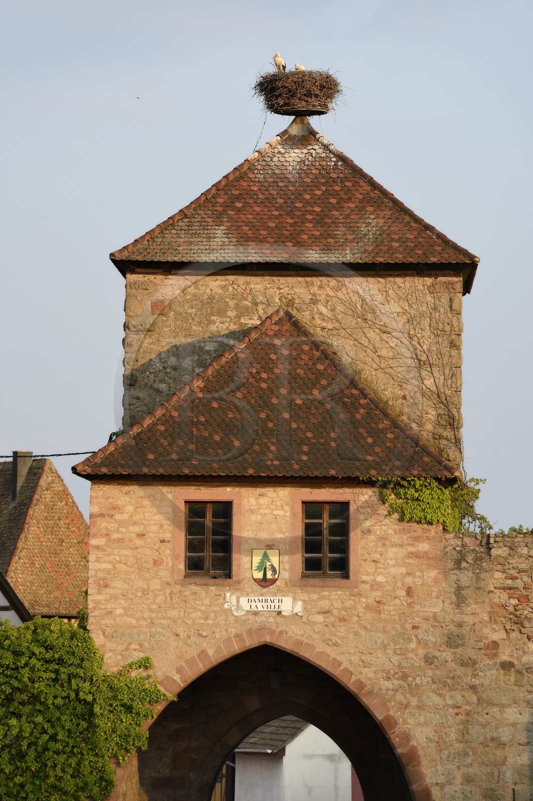 France, Bas-Rhin (67), Route des Vins d'Alsace, porte médiévale nord de Dambach-la-Ville
