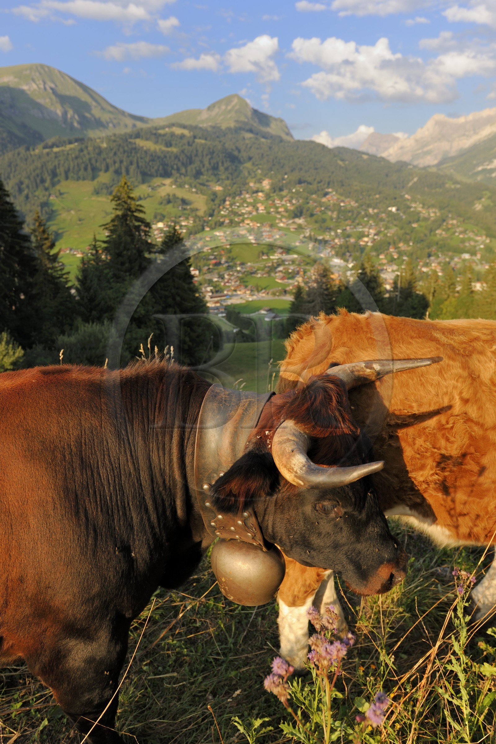 Suisse, canton de Vaud, Les Diablerets