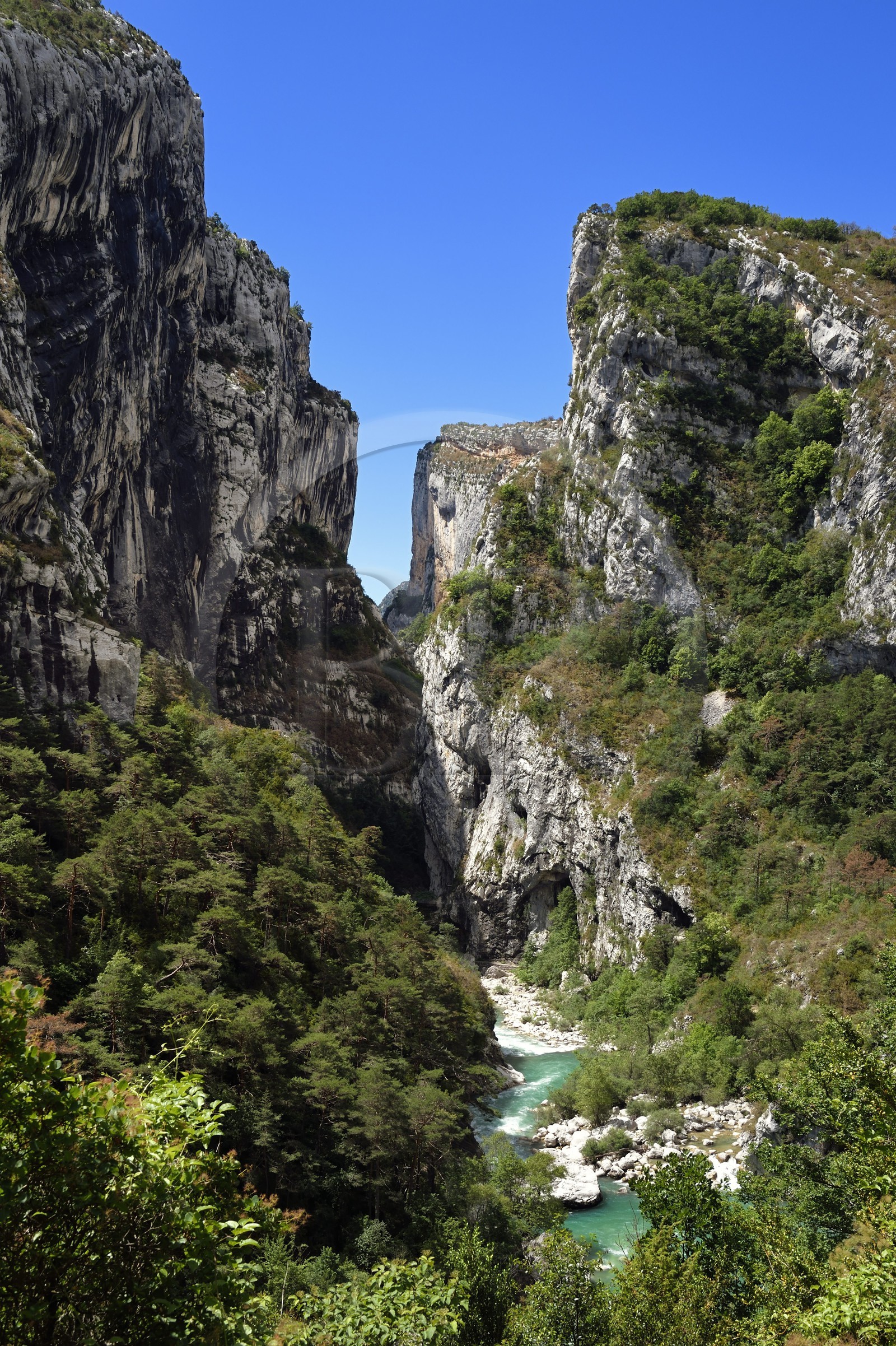 France, Alpes de Haute Provence, Parc Naturel Régional du Verdon, Rougon, Grand Canyon of Verdon in the corridor Samson and the beginning of the trail sentier Blanc-Martel on the GR4