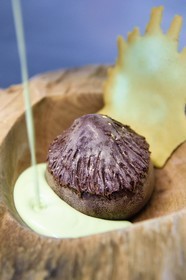 France, Charente (16), Bourg-Charente, restaurant La Ribaudière 1 étoile Michelin, la noisette en trompe l'oeil