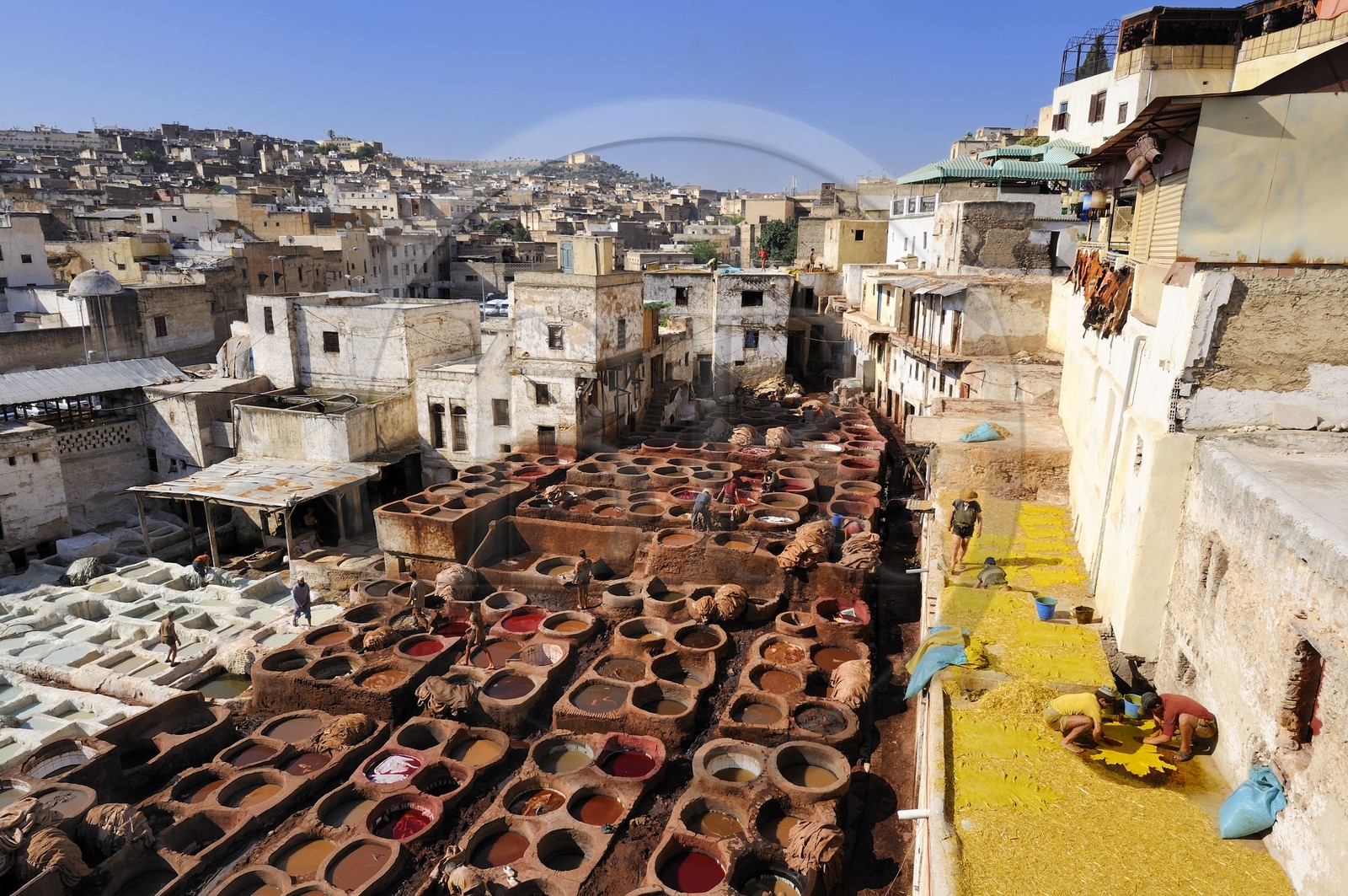 Maroc, Moyen Atlas, Fès, ville impériale, médina classée Patrimoine Mondial de l'UNESCO, Fès el Bali, quartier des tanneurs, Chouara