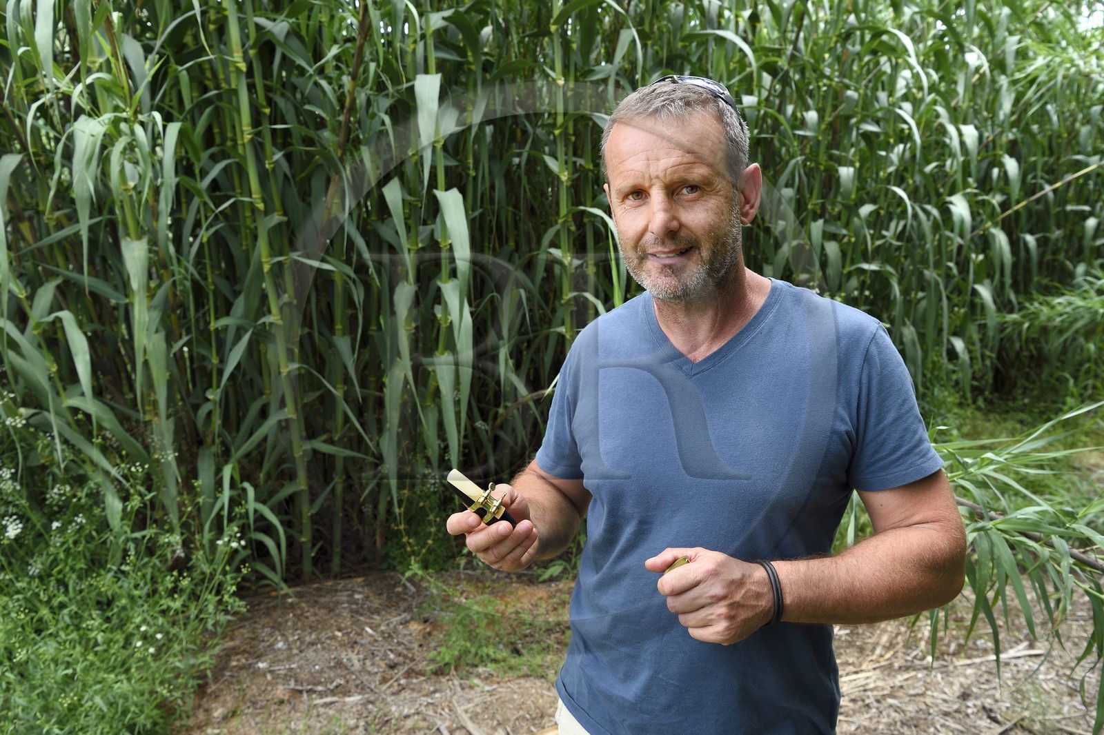 France, Var, Presqu'ile de Saint-Tropez, Cogolin, Daniel Rigotti, manufacturer of reeds for saxophones, clarinets and oboes