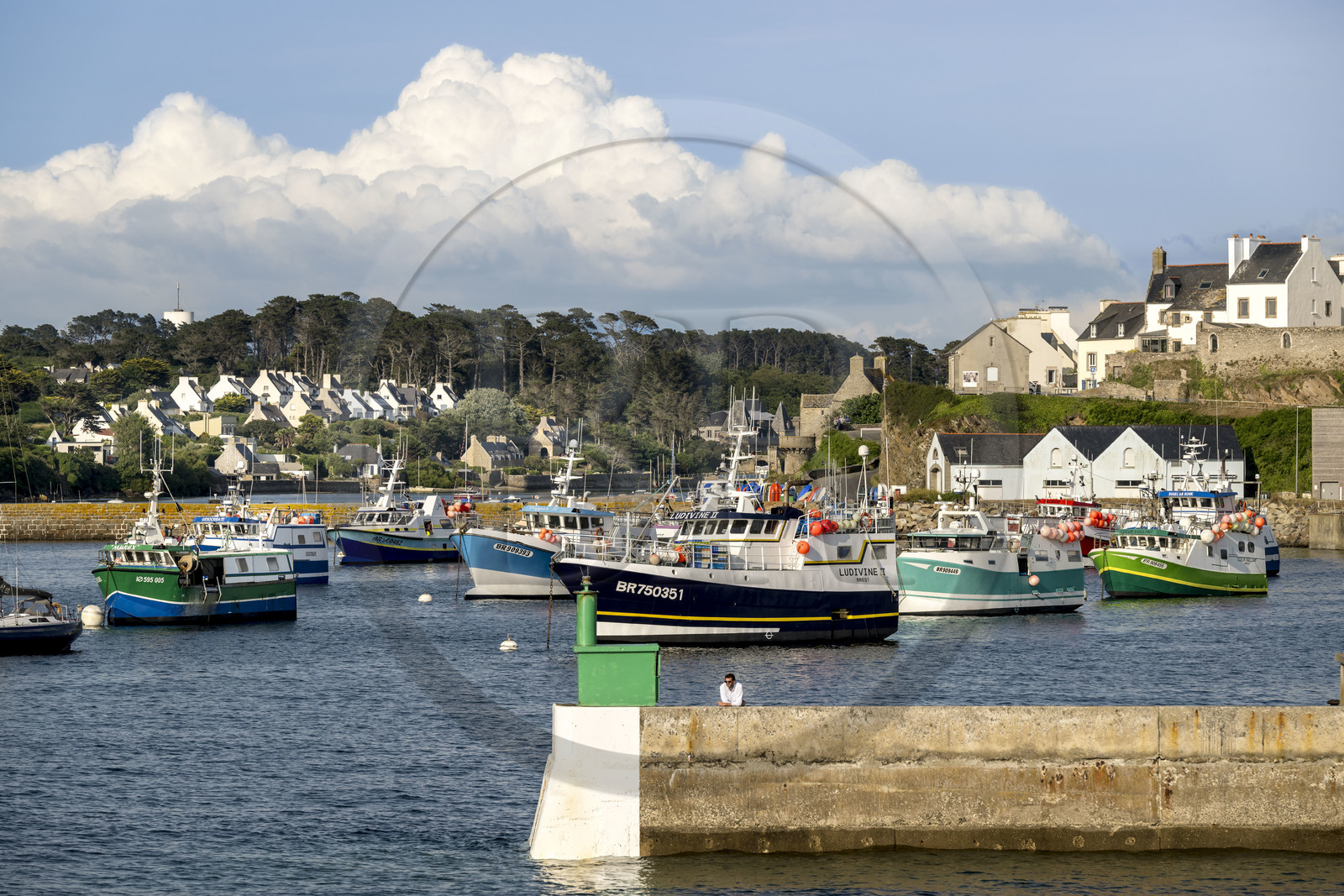 France, Finistère (29), Le Conquet, le port avec ses bateaux de pêche