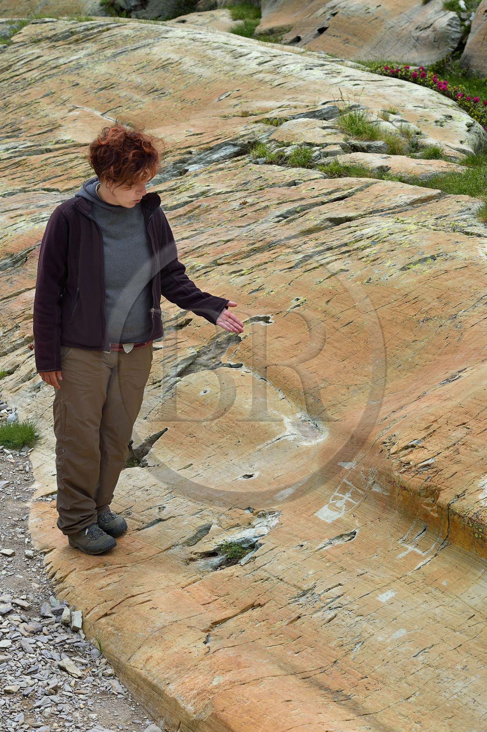 France, Alpes-Maritimes (06), parc national du Mercantour, vallée des Merveilles parsemée de milliers de gravures rupestres de l'Age de bronze, l'archéologue Nicoletta Bianchi devant la figure anthropomorphe gravée sur la roche dite du Sorcier sur les dalles de schiste jaune des chiappes