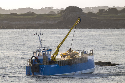 France, Finistère (29), Pays des Abers, Ile Vierge dans l'archipel de Lilia, bateau goémonier utilisant un de ses deux bras mécaniques articulés se terminant par un scoubidou pour récolter des algues marines le goémon