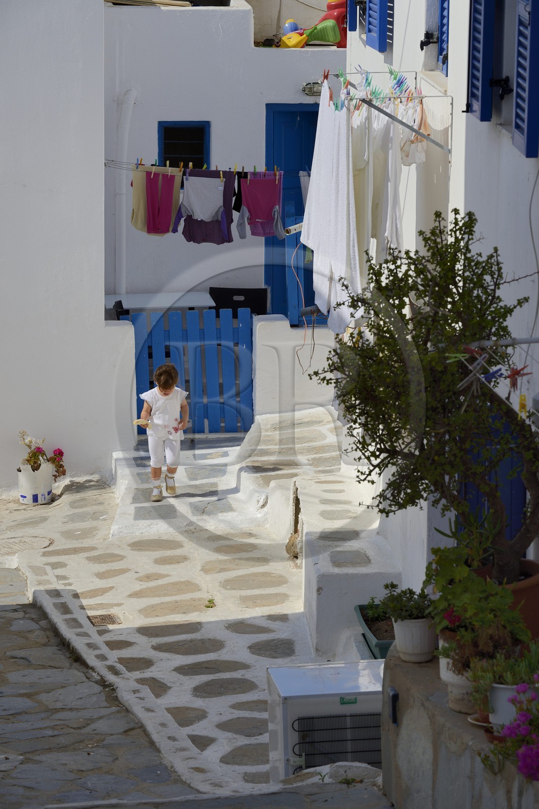 Grèce, Les Cyclades, mer Égée, île de Mykonos, Chora (Mykonos town)