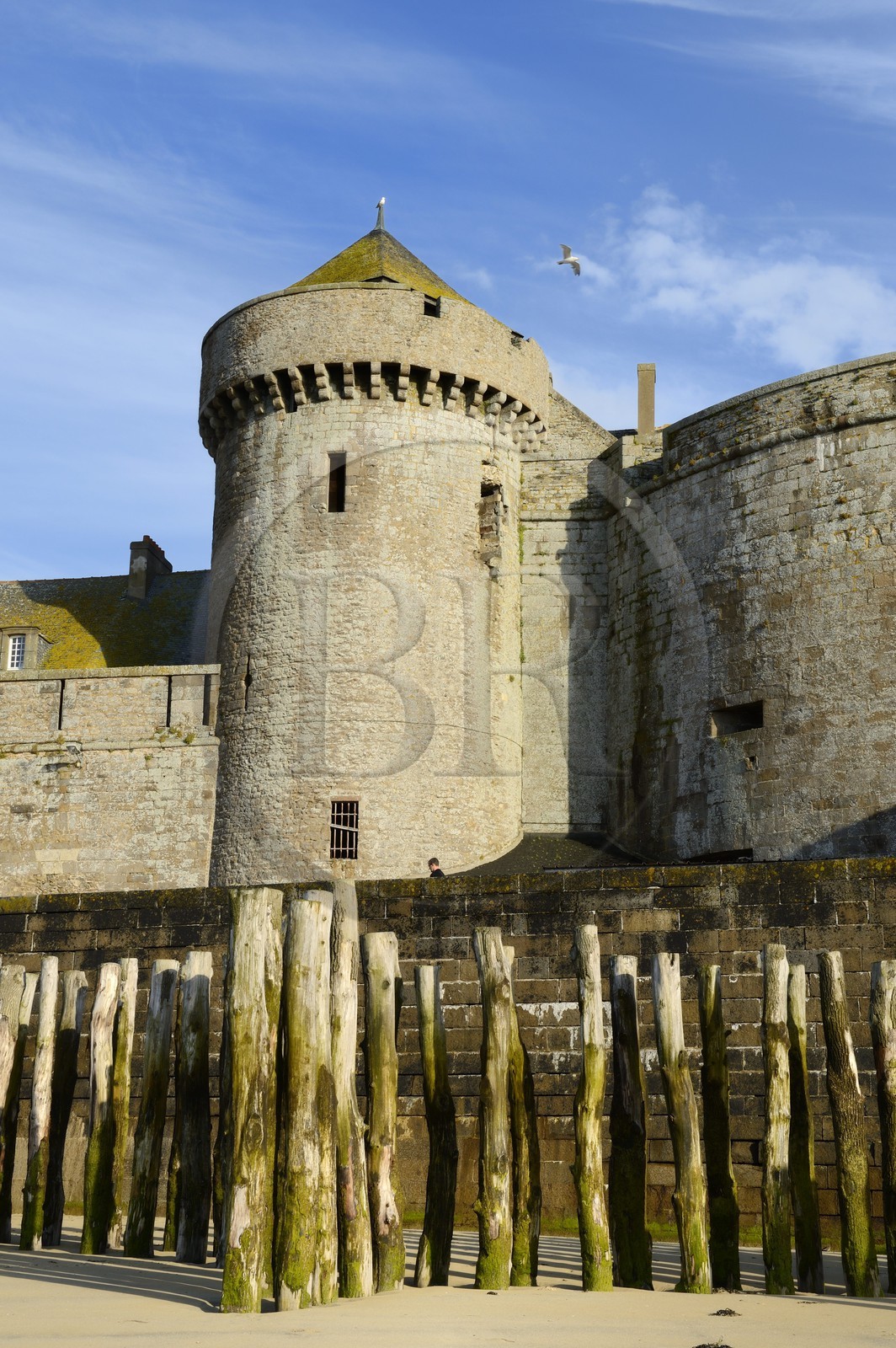France, Ille-et-Vilaine (35), côte d'émeraude, Saint-Malo, pieux de chêne de la plage pour protéger les remparts de l'assaut des vagues