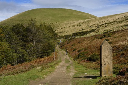 France, Pyrenees Atlantiques, Basque Country, Camino de Santiago (the Way of St. James) on the GR 65 between Saint Jean Pied de Port and Roncesvalles towards the Bentarte Pass, border marker between Navarre in Spain and Lower Navarre in France