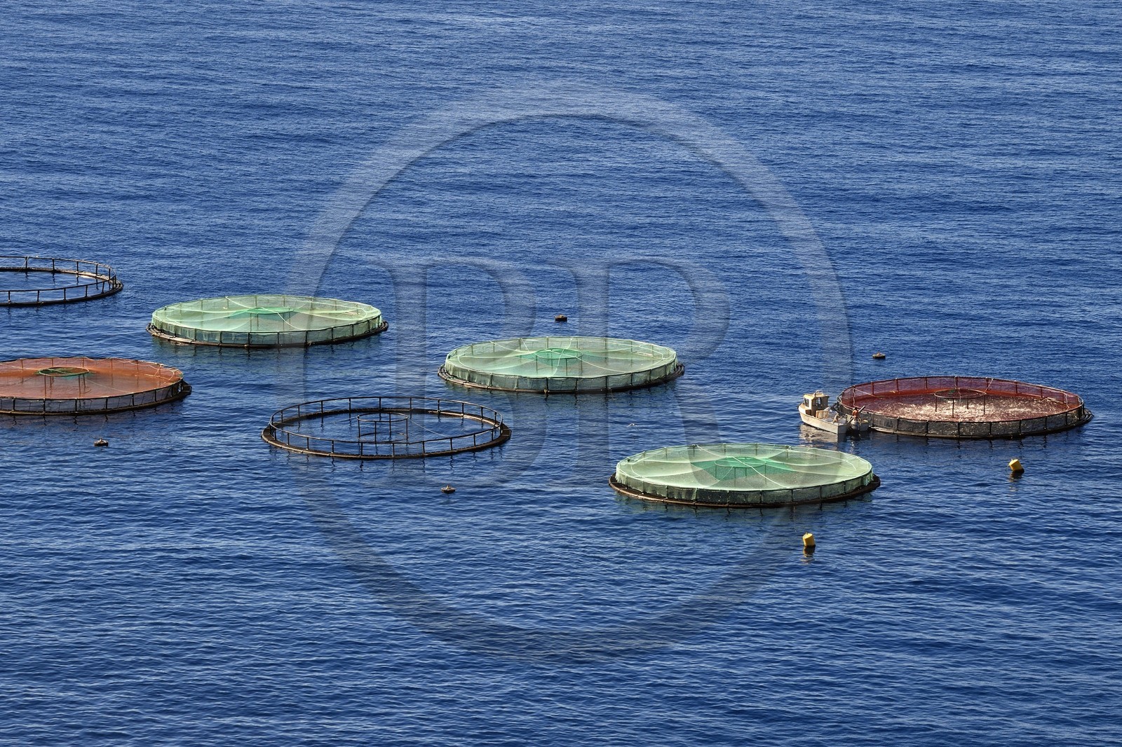 Portugal, Ile de Madère, réserve naturelle de la Ponta de Sao Lourenço (pointe Saint Laurent) à l'extrême Est de l'ile, pisciculture dans la baie d'Abra