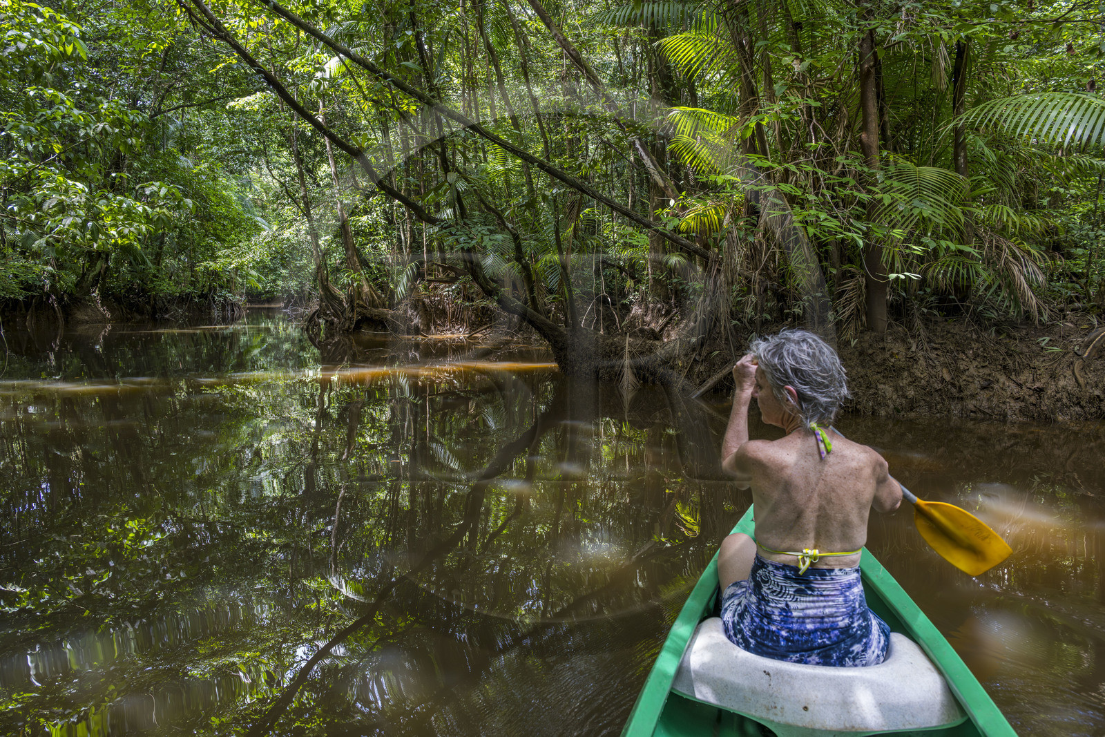 France, French Guiana, Kourou, Maripas camp in the rainforest, canoe trip to discover a crique (creek), a small river, tributary of the Kourou River